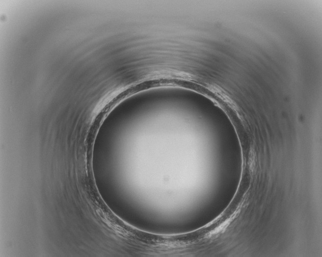 X0000060760877200511171145