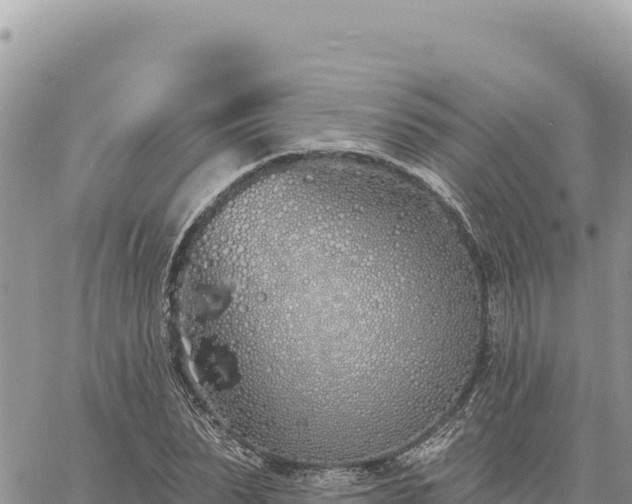 X0000060760879200511171145