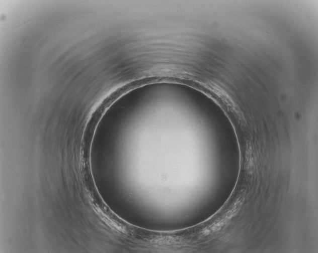 X0000060760880200511171145