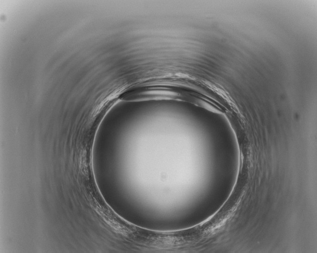 X0000060760881200511171145