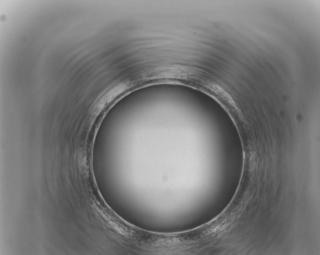 X0000060760882200511171145