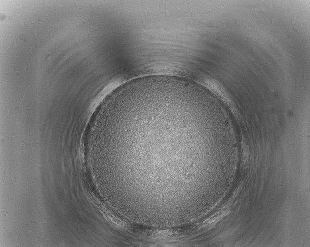 X0000060760883200511171145