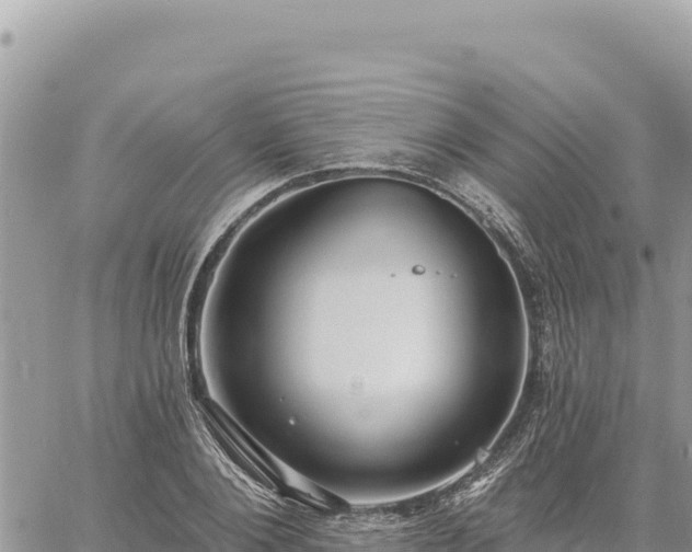 X0000060760884200511171145