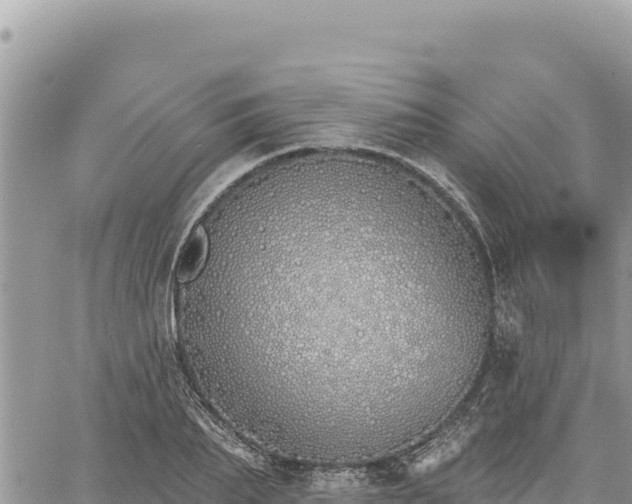 X0000060760887200511171145