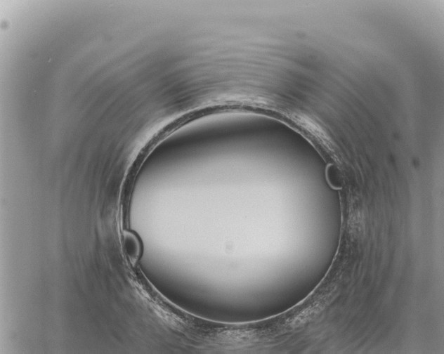 X0000060760888200511171145