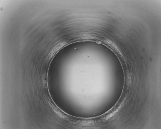 X0000060760889200511171145