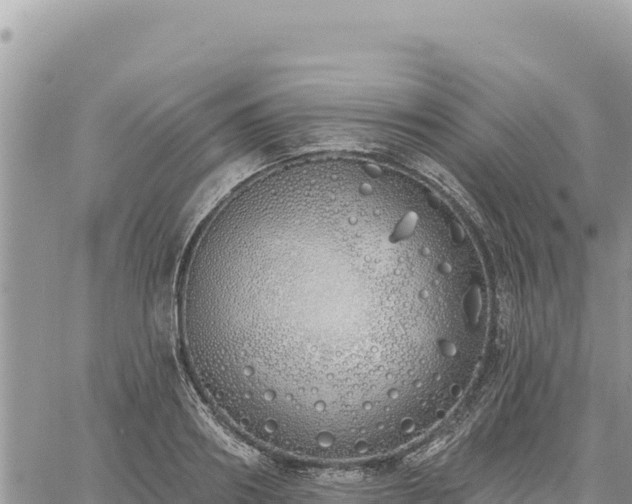 X0000060760890200511171145