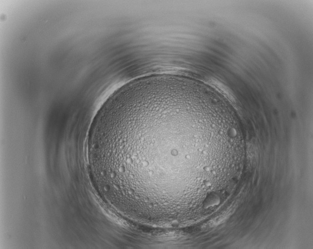 X0000060760891200511171145