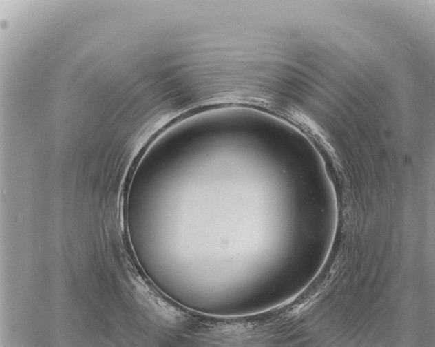 X0000060760892200511171145