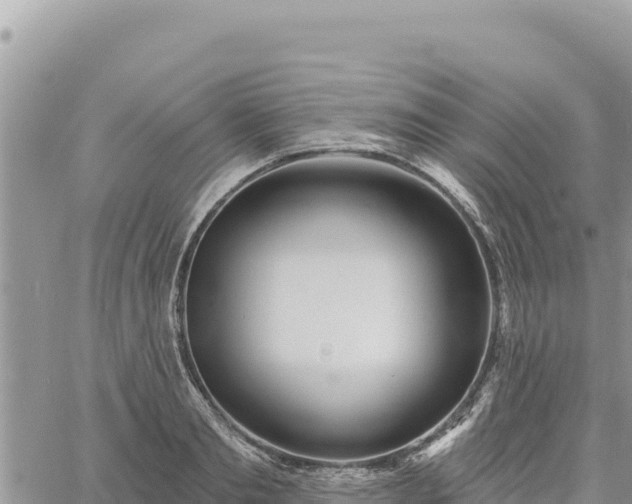 X0000060760893200511171145