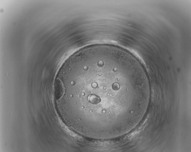 X0000060760895200511171145