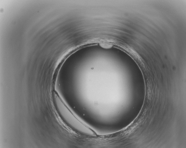 X0000060760896200511171145