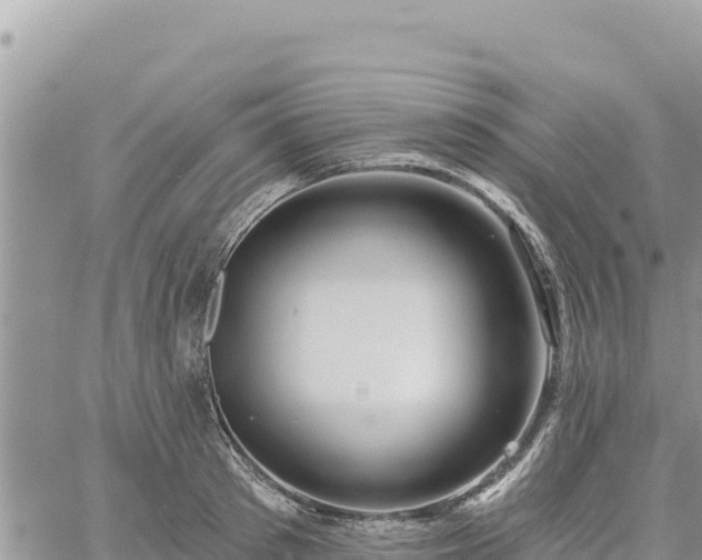 X0000060760897200511171145