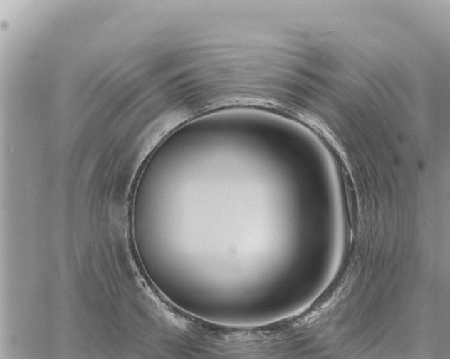 X0000060760898200511171145