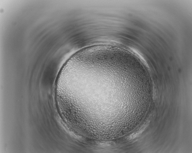 X0000060760899200511171145