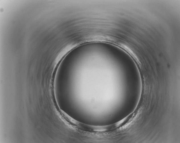 X0000060760901200511171145