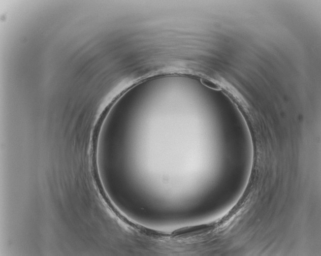 X0000060760902200511171145