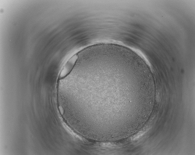 X0000060760903200511171145