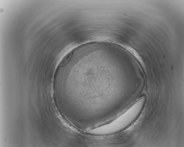 X0000060760904200511171145