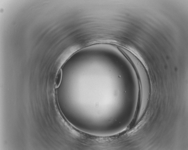 X0000060760906200511171145