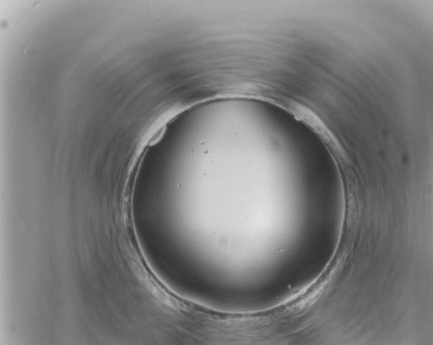 X0000060760908200511171145