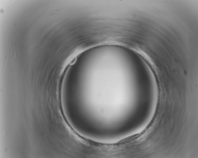 X0000060760910200511171145