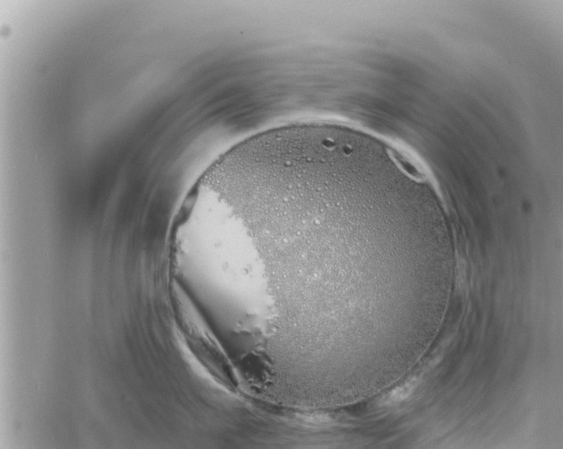 X0000060760911200511171145