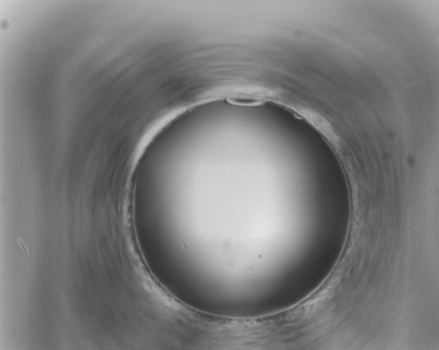 X0000060760912200511171145