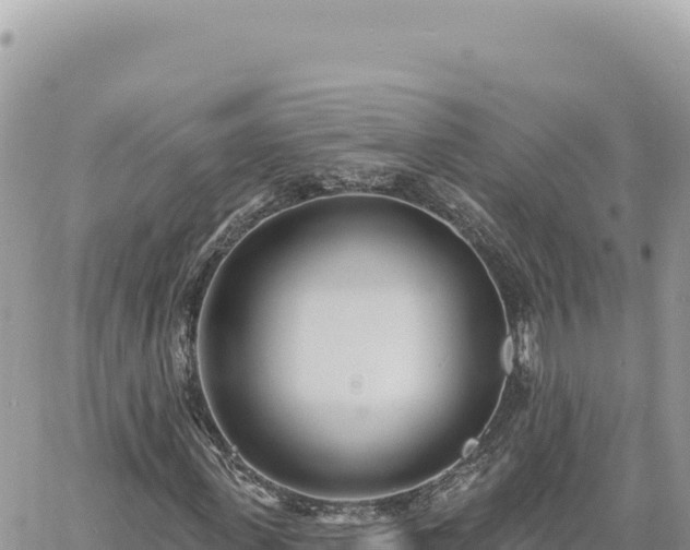 X0000060760915200511171144