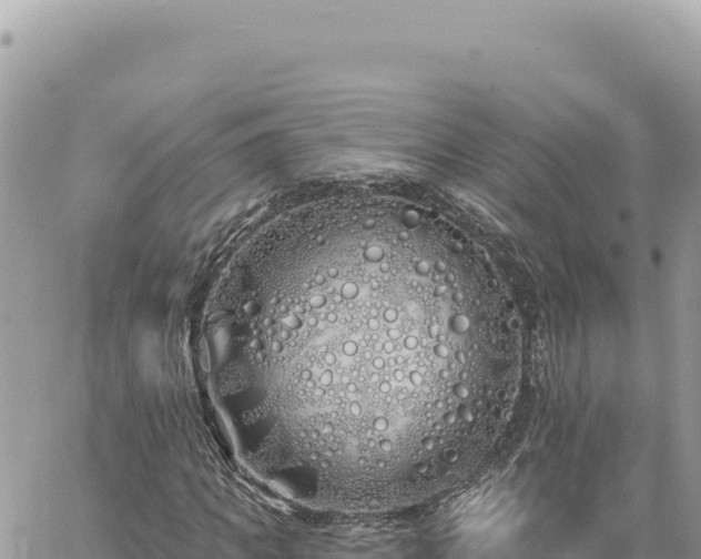 X0000060760917200511171144