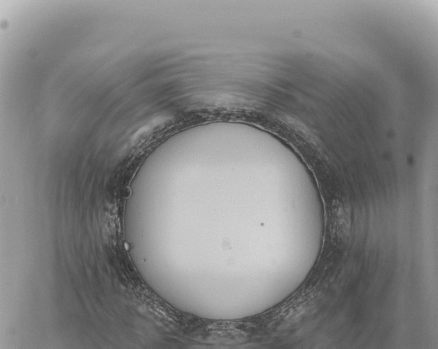 X0000060760918200511171144