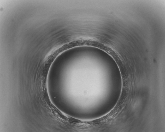 X0000060760919200511171144