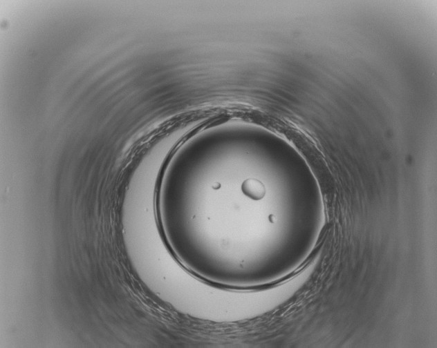 X0000060760920200511171144