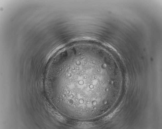 X0000060760921200511171144