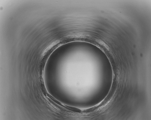 X0000060760922200511171144