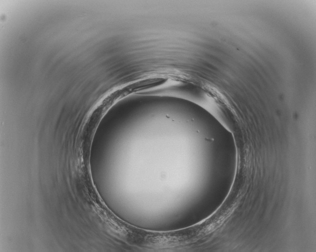 X0000060760923200511171144