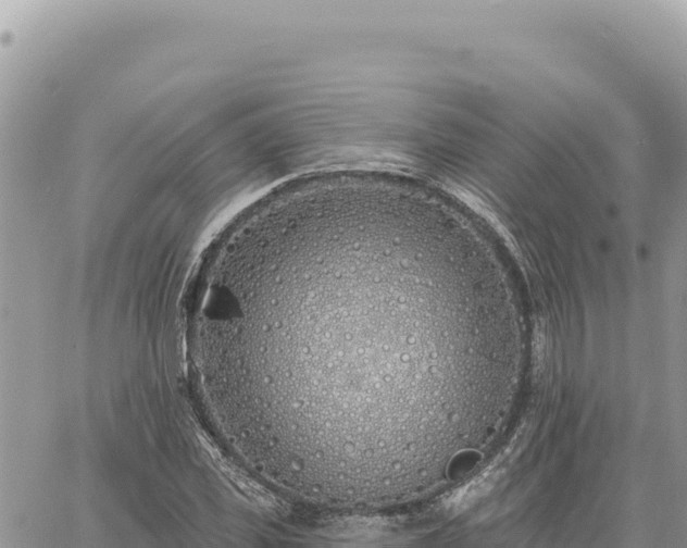 X0000060760925200511171144