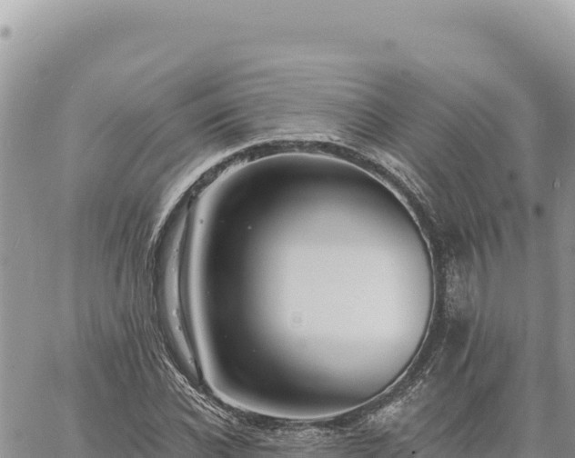 X0000060760926200511171144