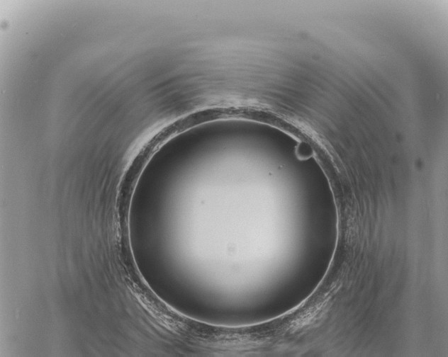 X0000060760927200511171144