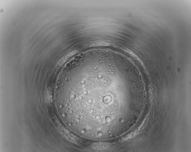 X0000060760929200511171144