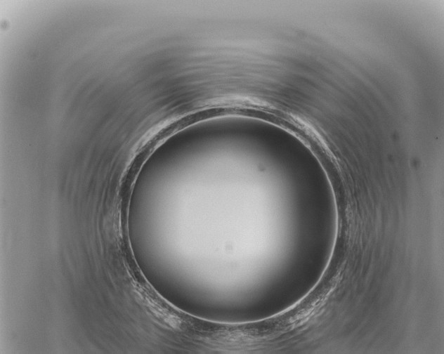 X0000060760931200511171144