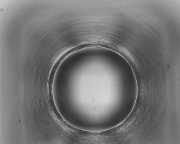 X0000060760932200511171144