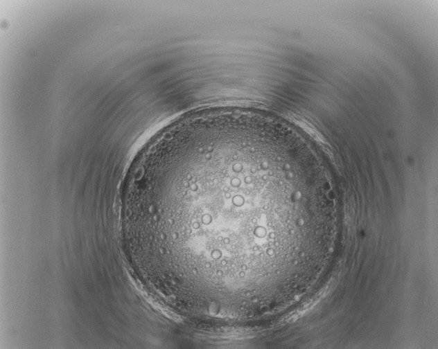 X0000060760933200511171144