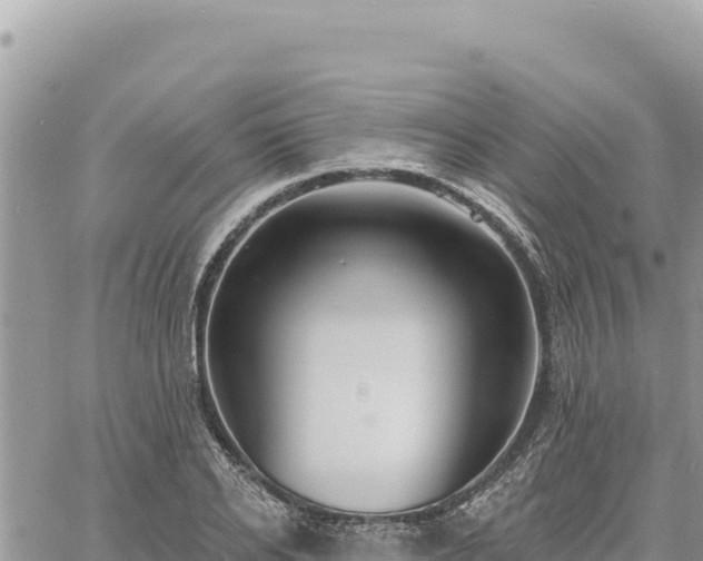 X0000060760934200511171144