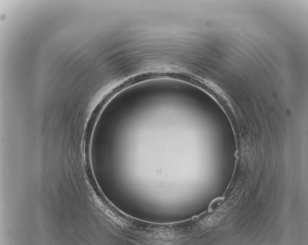 X0000060760935200511171144