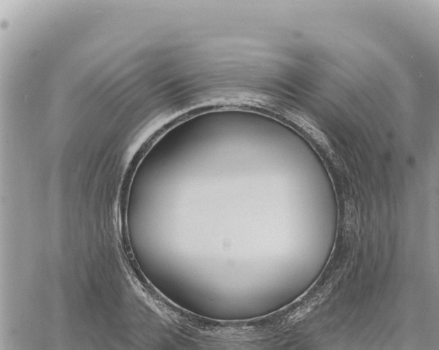 X0000060760936200511171144