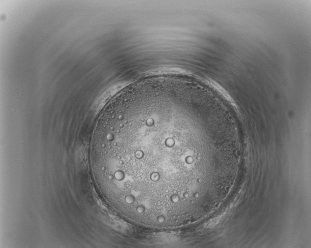 X0000060760937200511171144