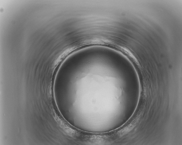 X0000060760938200511171144