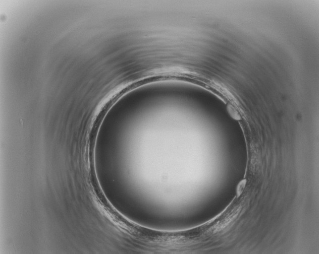 X0000060760939200511171144