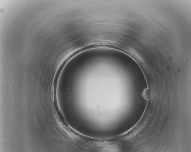 X0000060760940200511171144